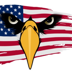 A picture of an eagle with the american flag behind it.