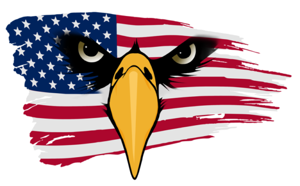 A picture of an eagle with the american flag behind it.