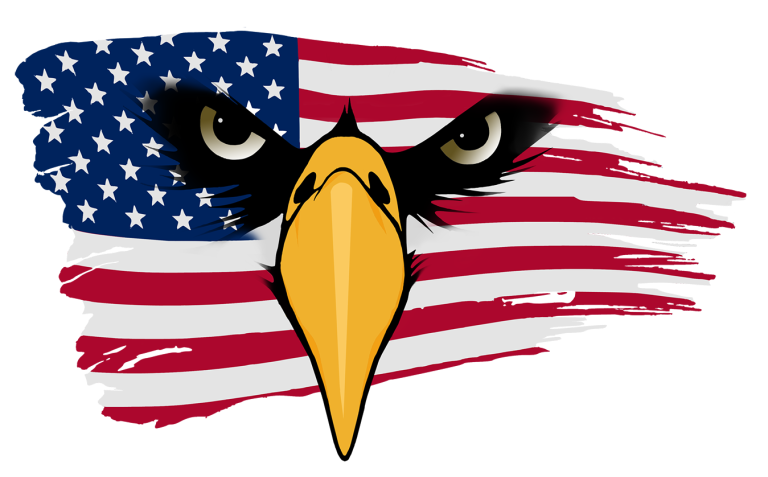 A picture of an eagle with the american flag behind it.